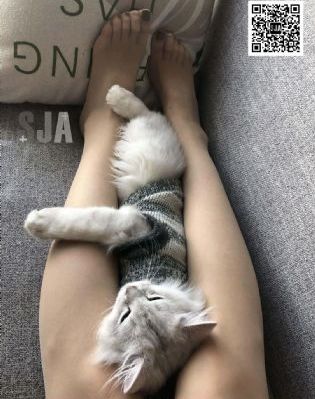 诱人的飞行在线看_剧情片高清免费观看
