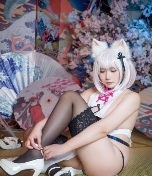 伍六七第六季免费观看完整版_DVD全集免费观看