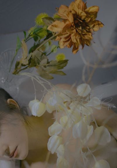 韩国理论片免费播放_免费观看高清版